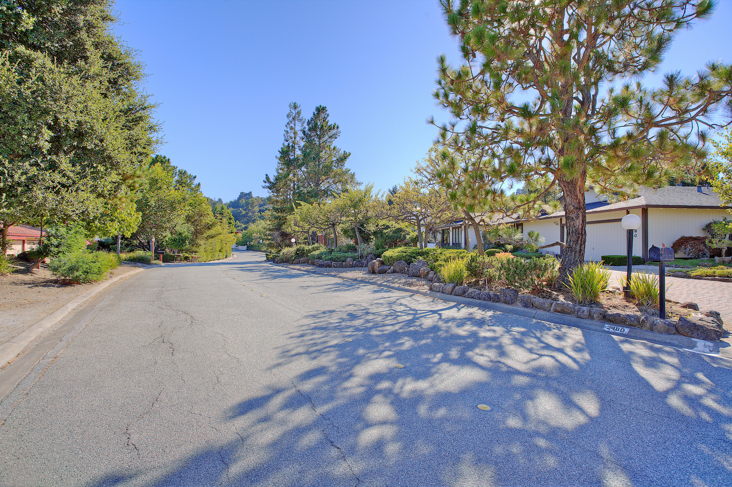 Street with a home in Hillsborough Hills
